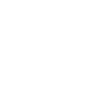 g1